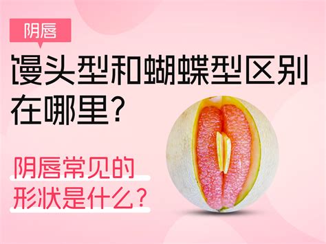 白虎阴唇|科普常见的24种女性阴唇形状图解：馒头型